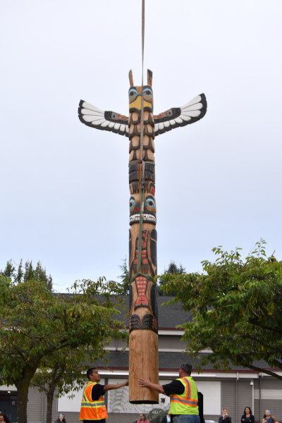 Swinomish Totem Pole being placed